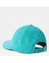 THE NORTH FACE NORM HAT PORCELAIN GREEN