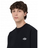 DICKIES SUMMERDALE CREW BLK